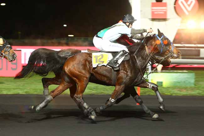 Photo d'arrivée de la course pmu PRIX PSYCHE à PARIS-VINCENNES le Mardi 13 novembre 2018