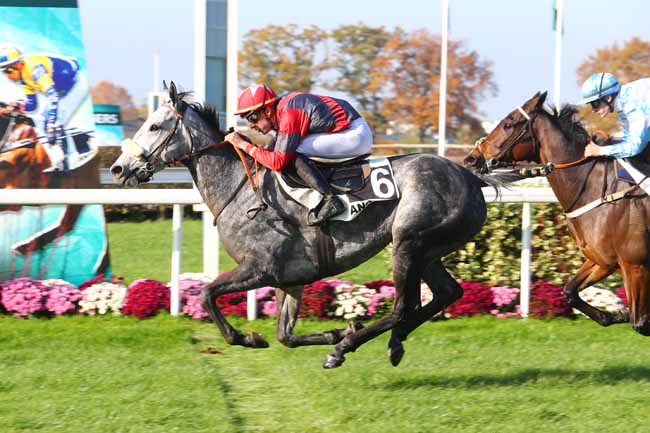 Photo d'arrivée de la course pmu PRIX LORD MAGIQUE à ANGERS le Mercredi 14 novembre 2018