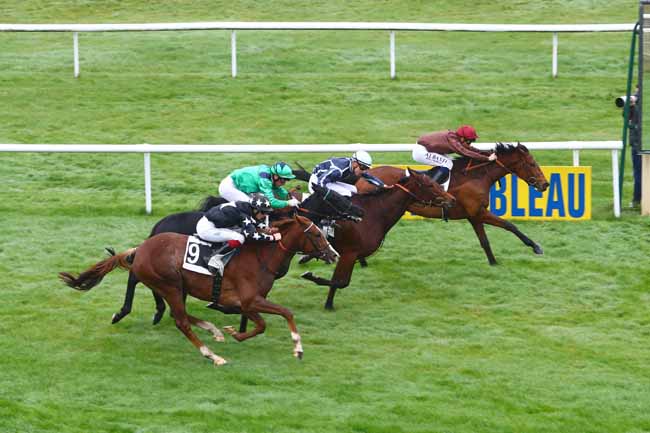 Photo d'arrivée de la course pmu PRIX DE LA TOUCHE AUX MULETS (PELOTON A) à FONTAINEBLEAU le Jeudi 15 novembre 2018