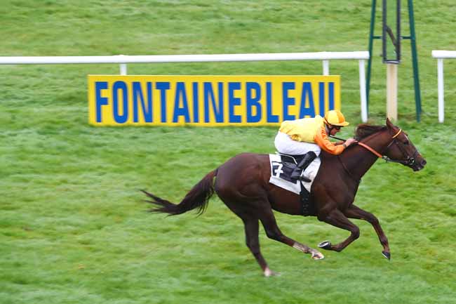 Photo d'arrivée de la course pmu PRIX HUBERT DE CATHEU à FONTAINEBLEAU le Jeudi 15 novembre 2018