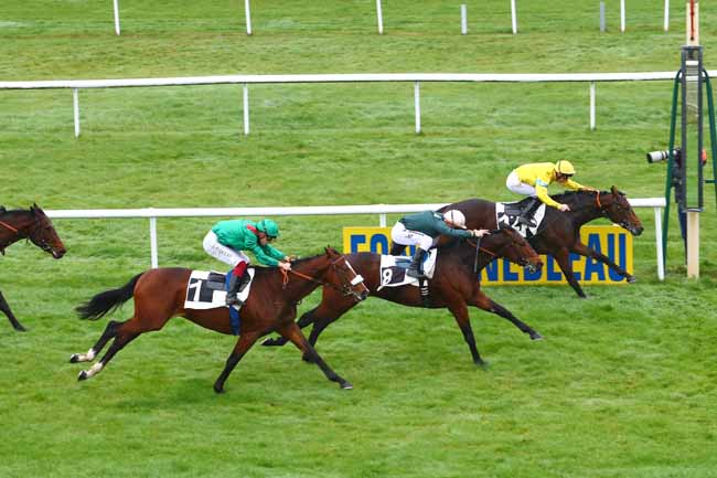 Photo d'arrivée de la course pmu PRIX DU MONT PIERREUX à FONTAINEBLEAU le Jeudi 15 novembre 2018