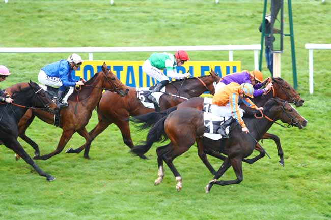 Photo d'arrivée de la course pmu PRIX CERES à FONTAINEBLEAU le Jeudi 15 novembre 2018