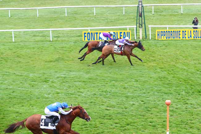 Photo d'arrivée de la course pmu PRIX D'EVRY à FONTAINEBLEAU le Jeudi 15 novembre 2018