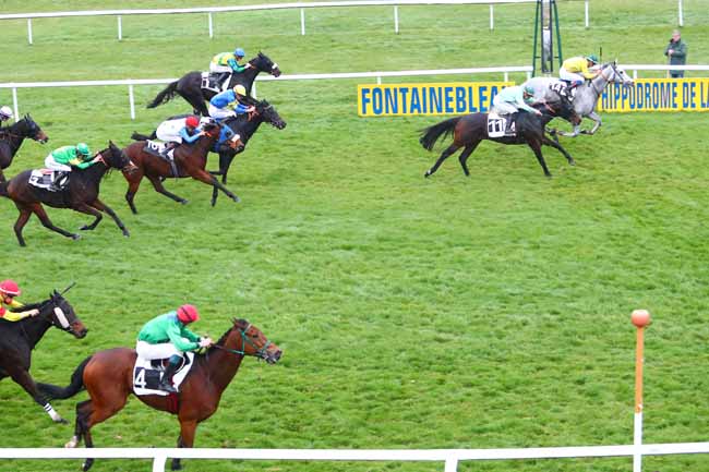 Photo d'arrivée de la course pmu PRIX DE VICHY à FONTAINEBLEAU le Jeudi 15 novembre 2018