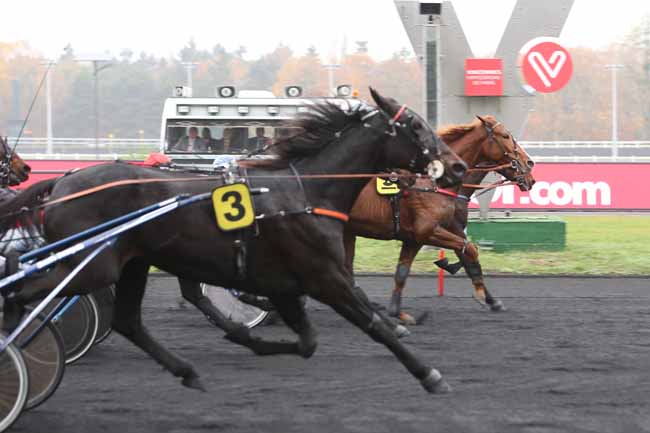 Photo d'arrivée de la course pmu PRIX DE CASTRES à PARIS-VINCENNES le Jeudi 15 novembre 2018