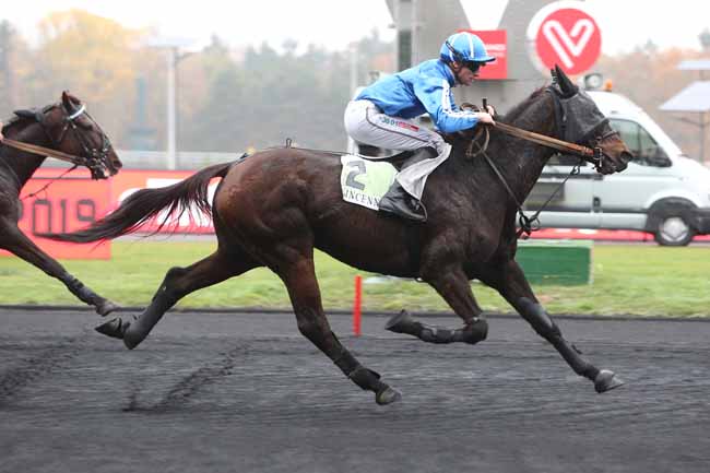 Photo d'arrivée de la course pmu PRIX DE L'ILE D'OLERON à PARIS-VINCENNES le Jeudi 15 novembre 2018