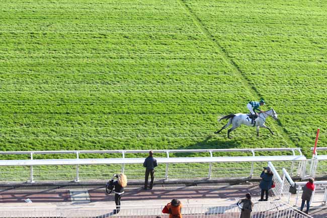 Photo d'arrivée de la course pmu PRIX LEOPOLD BARA à AUTEUIL le Samedi 17 novembre 2018