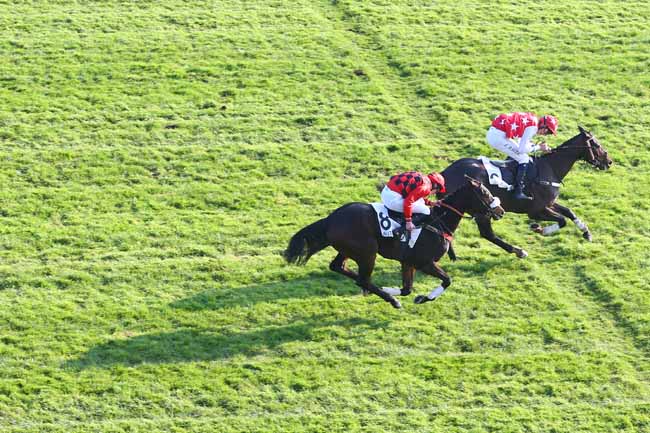 Photo d'arrivée de la course pmu PRIX FALZAREGO à AUTEUIL le Samedi 17 novembre 2018