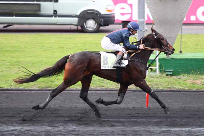 Photo d'arrivée de la course pmu PRIX DE BRIANCON à PARIS-VINCENNES le Lundi 19 novembre 2018