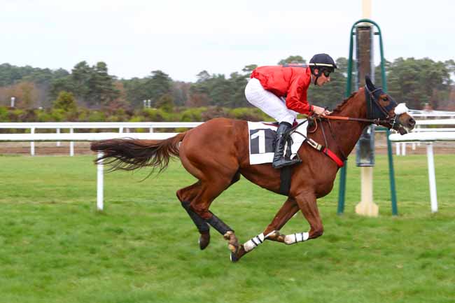 Photo d'arrivée de la course pmu PRIX COMTE ANTOINE DE GONTAUT-BIRON à FONTAINEBLEAU le Lundi 19 novembre 2018