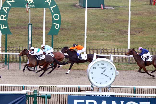 Photo d'arrivée de la course pmu PRIX MAGDELENE à CHANTILLY le Mardi 20 novembre 2018
