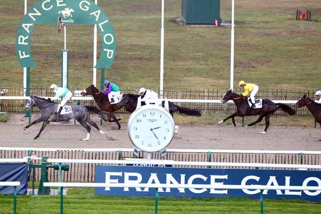 Photo d'arrivée de la course pmu PRIX DE LA BOUCLE D'EN HAUT à CHANTILLY le Mardi 20 novembre 2018