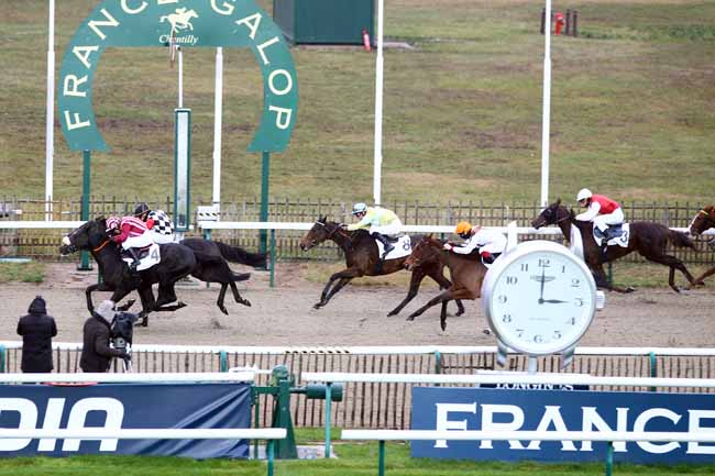 Photo d'arrivée de la course pmu PRIX DU MANEGE à CHANTILLY le Mardi 20 novembre 2018