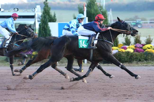 Photo d'arrivée de la course pmu PRIX JAGUAR à MAUQUENCHY le Mercredi 21 novembre 2018