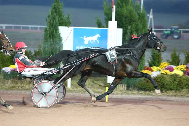 Photo d'arrivée de la course pmu PRIX ANDRE PERDRIX (GR A) à MAUQUENCHY le Mercredi 21 novembre 2018