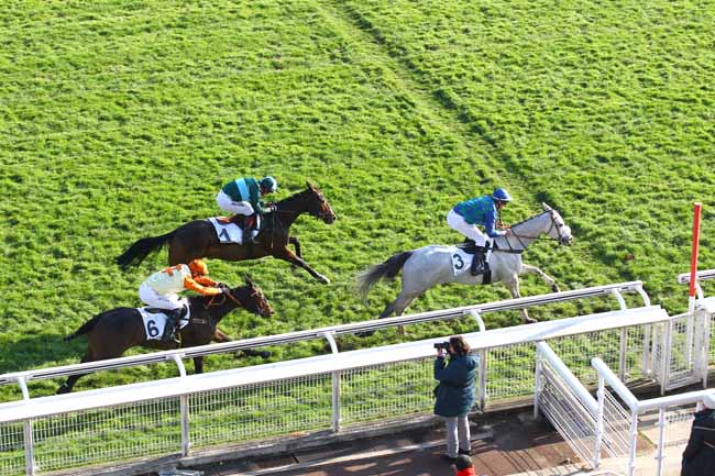 Photo d'arrivée de la course pmu PRIX KERYM à AUTEUIL le Mercredi 21 novembre 2018