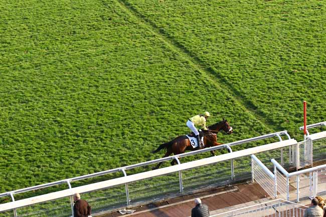 Photo d'arrivée de la course pmu PRIX MARLY RIVER à AUTEUIL le Mercredi 21 novembre 2018