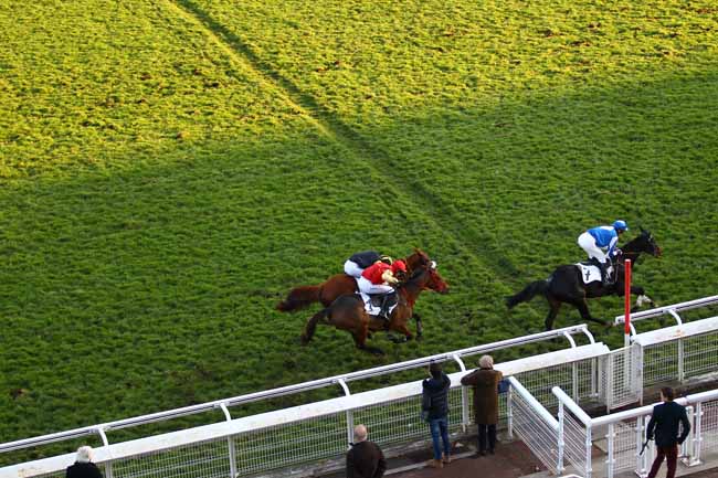 Photo d'arrivée de la course pmu PRIX JEAN SENS à AUTEUIL le Mercredi 21 novembre 2018