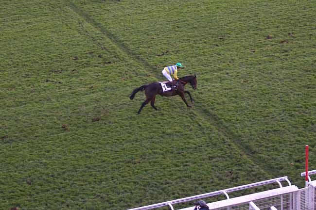 Photo d'arrivée de la course pmu PRIX GERARD PHILIPPEAU à AUTEUIL le Mercredi 21 novembre 2018