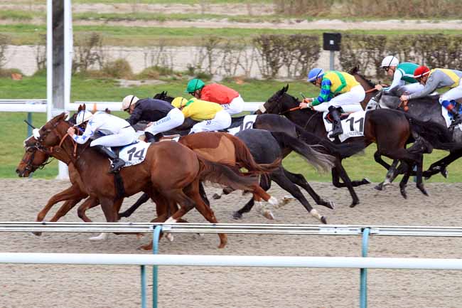 Photo d'arrivée de la course pmu PRIX DU BERGERET à DEAUVILLE le Mercredi 28 novembre 2018