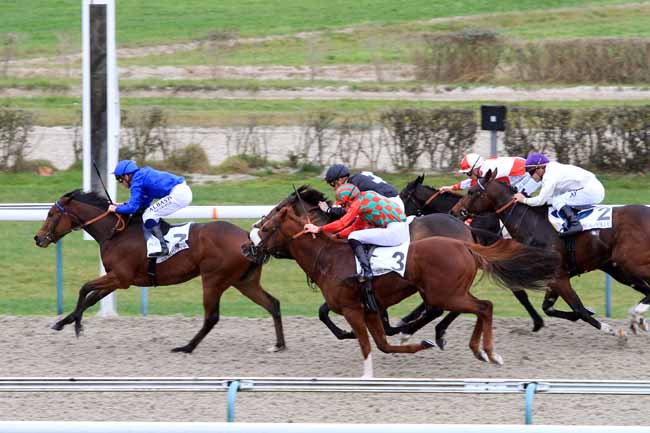 Photo d'arrivée de la course pmu PRIX GREY DAWN à DEAUVILLE le Mercredi 28 novembre 2018