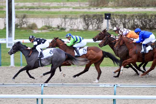 Photo d'arrivée de la course pmu PRIX DE TORQUESNE à DEAUVILLE le Mercredi 28 novembre 2018