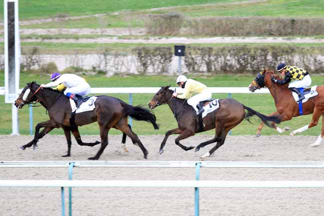 Photo d'arrivée de la course pmu PRIX DU CHEMIN DE L'AUMONE à DEAUVILLE le Mercredi 28 novembre 2018