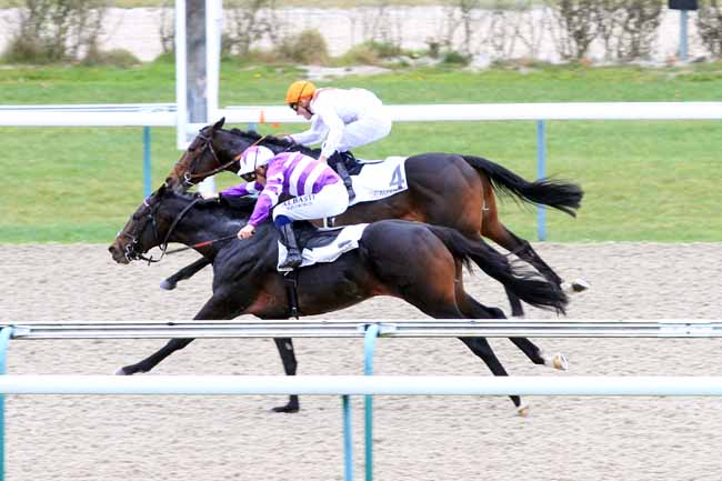 Photo d'arrivée de la course pmu PRIX LYPHARD à DEAUVILLE le Jeudi 29 novembre 2018
