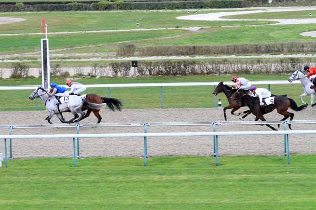 Photo d'arrivée de la course pmu PRIX DES POMMIERS à DEAUVILLE le Jeudi 29 novembre 2018