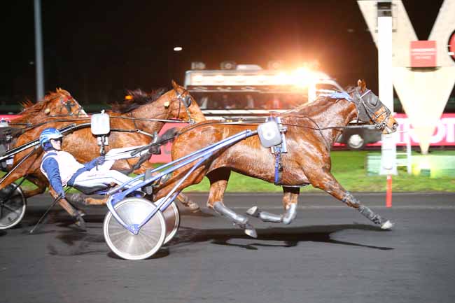 Photo d'arrivée de la course pmu PRIX POMONA à PARIS-VINCENNES le Vendredi 30 novembre 2018