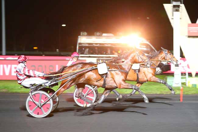 Photo d'arrivée de la course pmu PRIX OURASI à PARIS-VINCENNES le Vendredi 30 novembre 2018