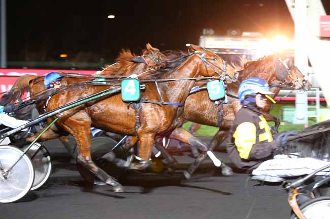 Photo d'arrivée de la course pmu PRIX VIBILIA à PARIS-VINCENNES le Vendredi 30 novembre 2018