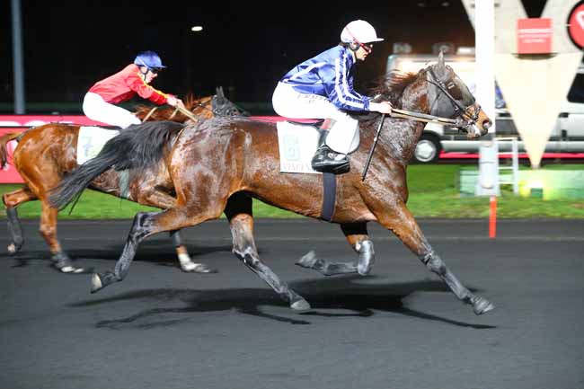 Photo d'arrivée de la course pmu PRIX NORMA à PARIS-VINCENNES le Vendredi 30 novembre 2018