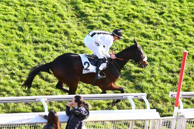 Photo d'arrivée de la course pmu PRIX DE L'AISNE à AUTEUIL le Vendredi 30 novembre 2018