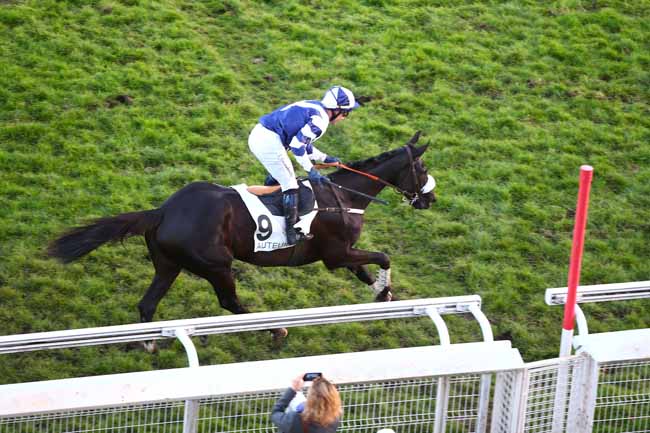 Photo d'arrivée de la course pmu PRIX FRANCOIS DE PONCINS à AUTEUIL le Vendredi 30 novembre 2018