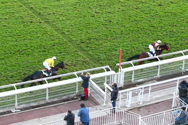 Photo d'arrivée de la course pmu PRIX DANDOLO à AUTEUIL le Vendredi 30 novembre 2018