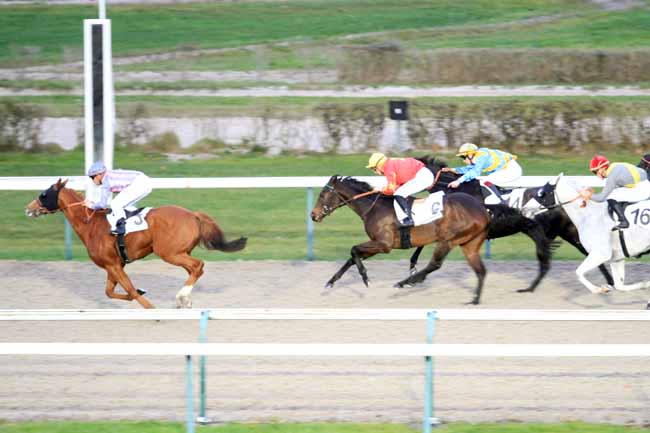Photo d'arrivée de la course pmu PRIX D'OMAHA BEACH à DEAUVILLE le Samedi 1 décembre 2018
