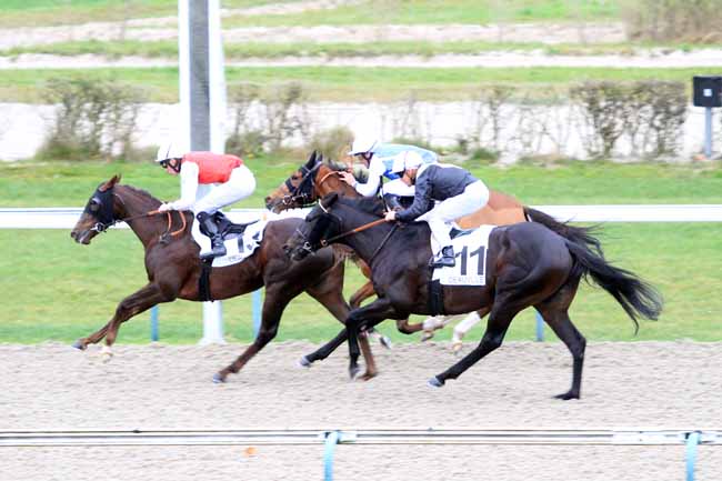 Photo d'arrivée de la course pmu PRIX DES CHAUMINES à DEAUVILLE le Samedi 1 décembre 2018