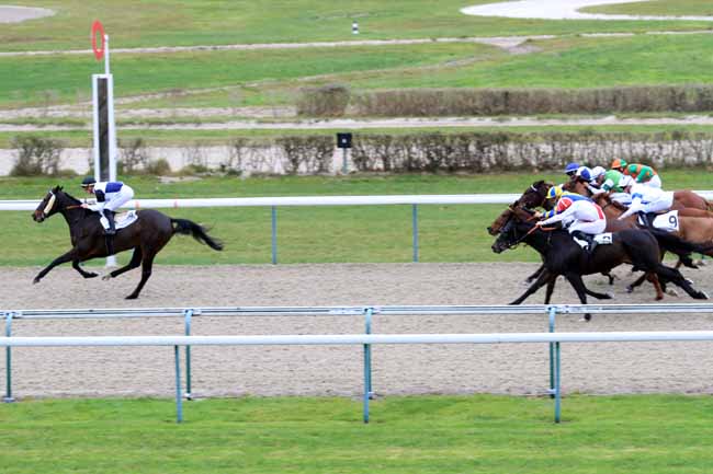 Photo d'arrivée de la course pmu PRIX DES GENTILHOMMIERES à DEAUVILLE le Samedi 1 décembre 2018