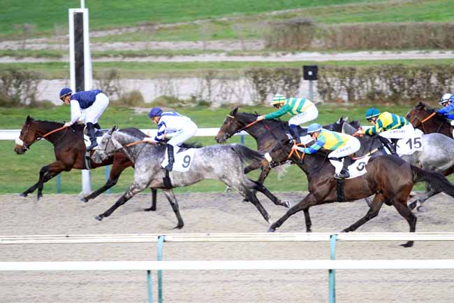 Photo d'arrivée de la course pmu PRIX D'UTAH BEACH à DEAUVILLE le Samedi 1 décembre 2018