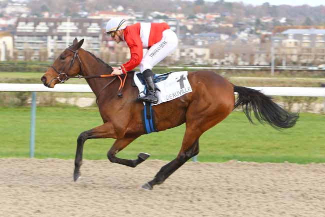 Photo d'arrivée de la course pmu PRIX DE BONNERIE à DEAUVILLE le Mercredi 5 décembre 2018