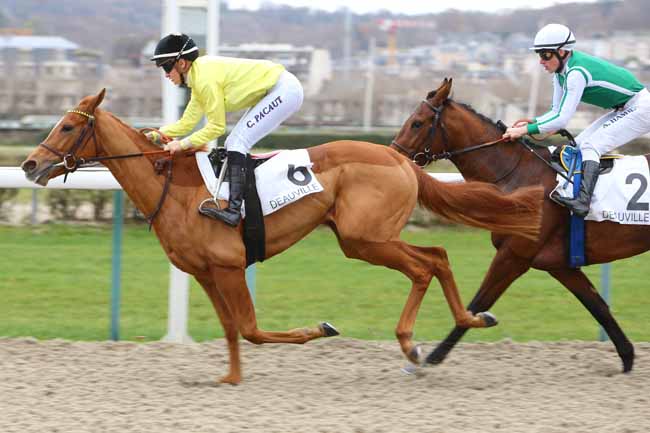 Photo d'arrivée de la course pmu PRIX DE PREAUX à DEAUVILLE le Mercredi 5 décembre 2018
