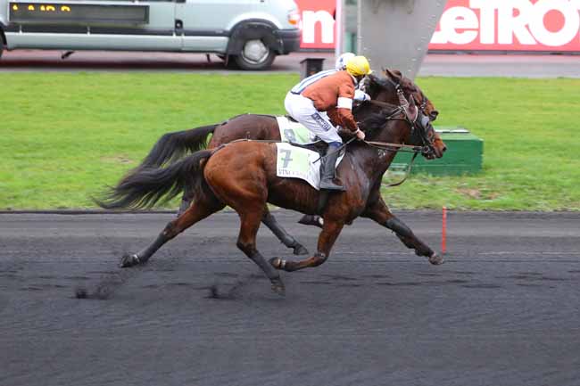 Photo d'arrivée de la course pmu PRIX DE CHAROLLES à PARIS-VINCENNES le Jeudi 6 décembre 2018