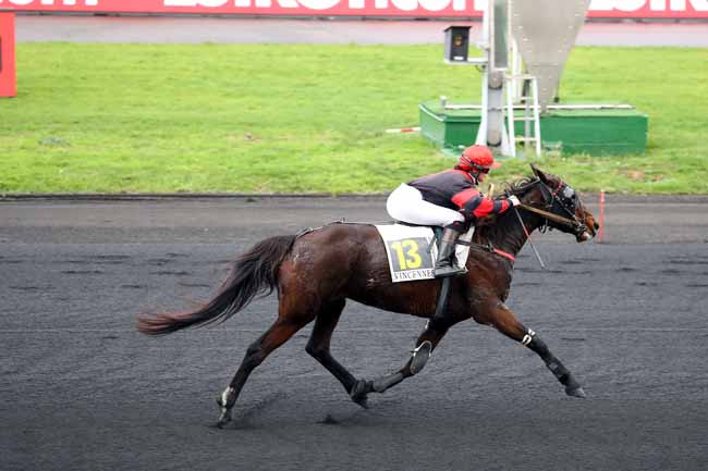 Photo d'arrivée de la course pmu PRIX DE VILLEFRANCHE à PARIS-VINCENNES le Lundi 10 décembre 2018