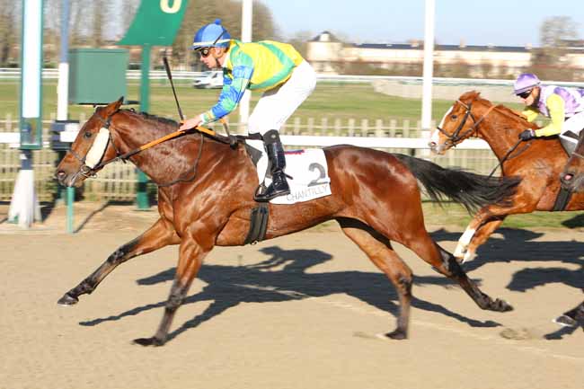 Photo d'arrivée de la course pmu PRIX DU POTEAU DU GATEAU à CHANTILLY le Jeudi 13 décembre 2018