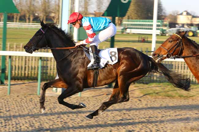 Photo d'arrivée de la course pmu PRIX DE LA PELOUSE AUX YEARLINGS à CHANTILLY le Jeudi 13 décembre 2018