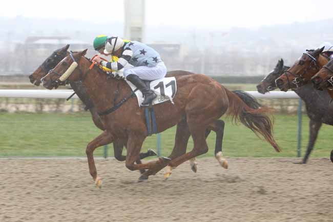 Photo d'arrivée de la course pmu PRIX DE GRANDOUET à DEAUVILLE le Samedi 15 décembre 2018