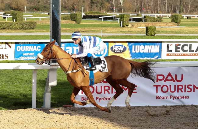 Photo d'arrivée de la course pmu PRIX DE BORDERES à PAU le Mercredi 19 décembre 2018