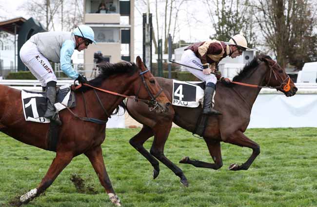 Photo d'arrivée de la course pmu PRIX EQUIDIA - PRIX PIERRE ESTREM REY à PAU le Mercredi 2 janvier 2019