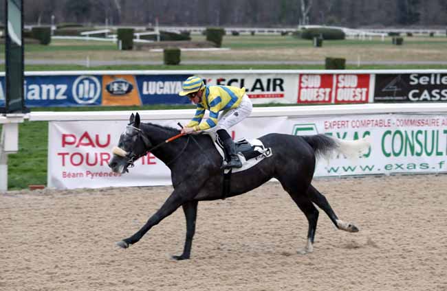 Photo d'arrivée de la course pmu PRIX DE MAUCOR à PAU le Mercredi 2 janvier 2019